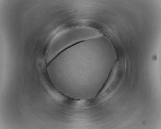 X0000091010092200708162007