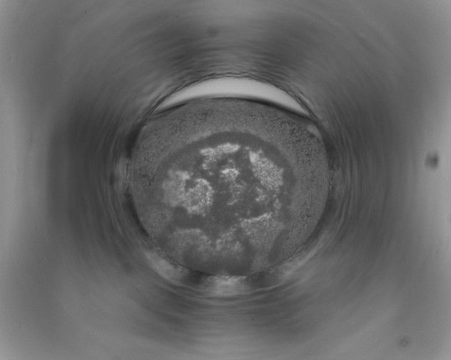 X0000091010093200708162007