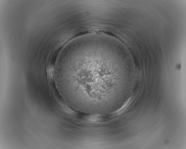 X0000091010094200708162007