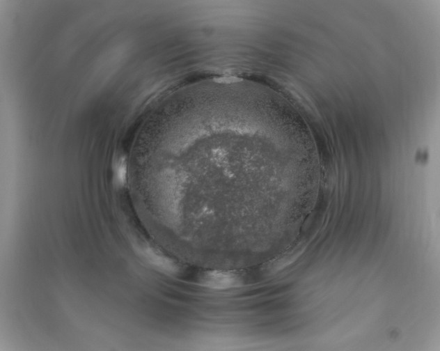 X0000091010095200708162007