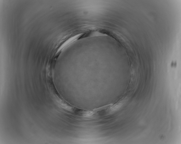 X0000091010096200708162007