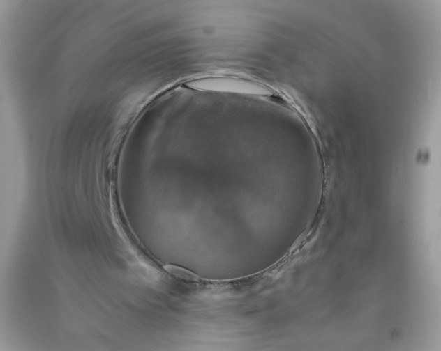 X0000091010097200708162006