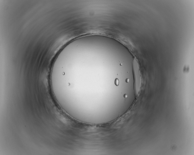 X0000091010098200708162006