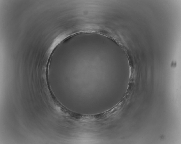 X0000091010099200708162006