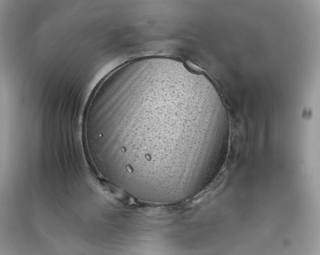 X0000091010100200708162006