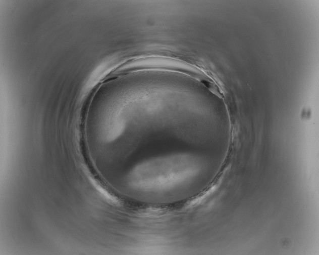 X0000091010101200708162006