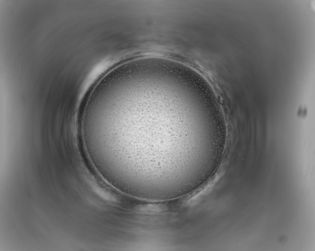 X0000091010102200708162006