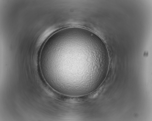 X0000091010103200708162006