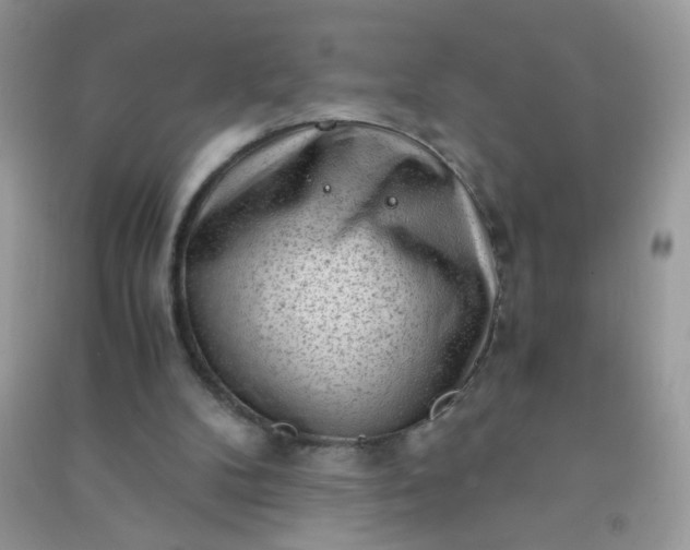 X0000091010104200708162006