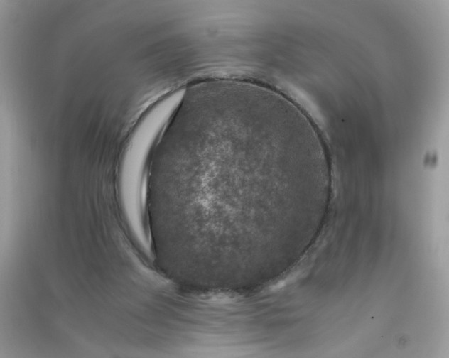 X0000091010105200708162006