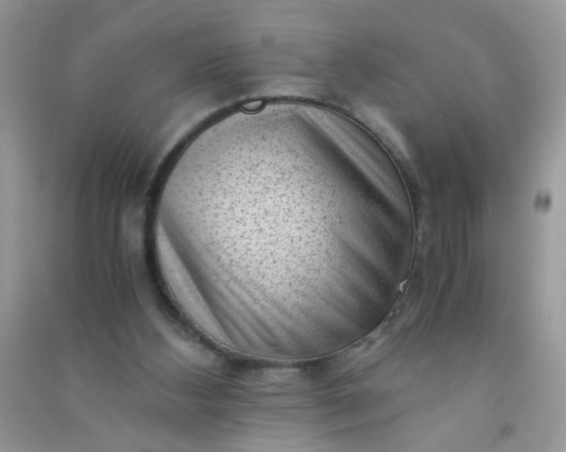 X0000091010108200708162006