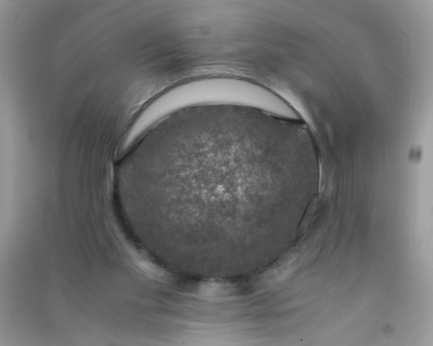 X0000091010109200708162006