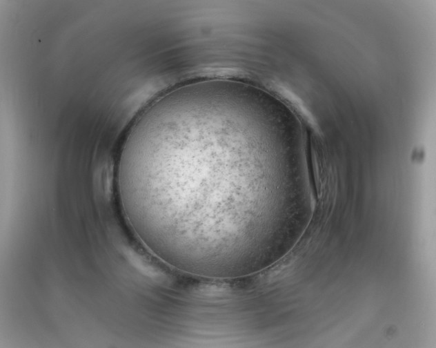 X0000091010110200708162006