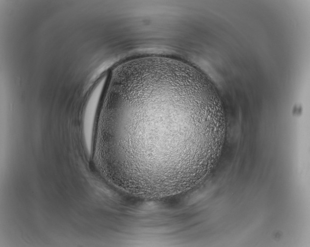 X0000091010111200708162006