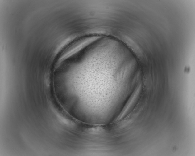 X0000091010112200708162006