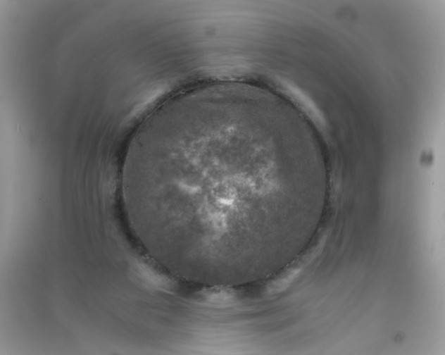 X0000091010113200708162006