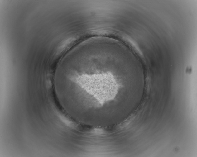 X0000091010114200708162006