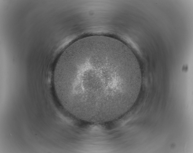 X0000091010115200708162006