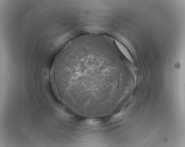 X0000091010117200708162006