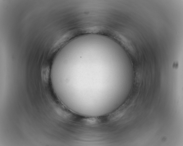 X0000091010118200708162006