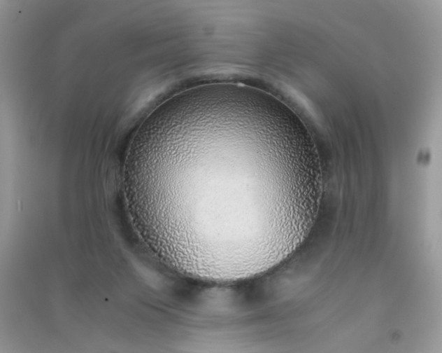 X0000091010119200708162006