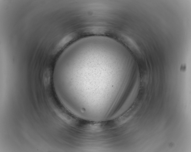 X0000091010120200708162006