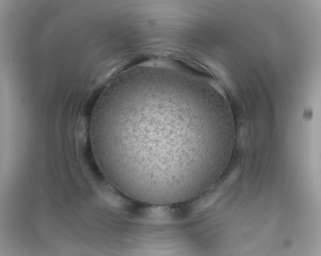 X0000091010121200708162006