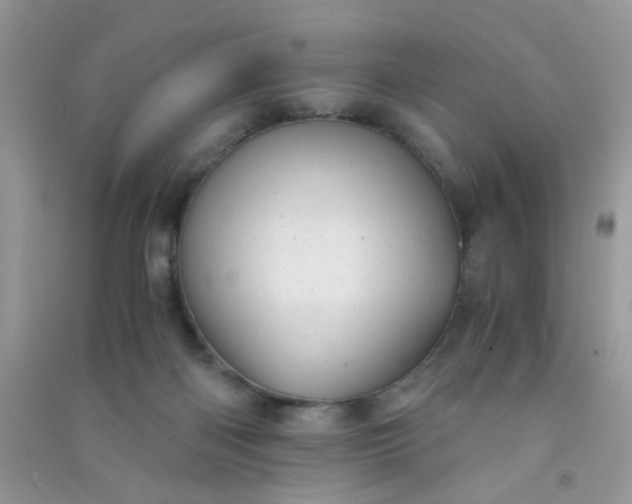 X0000091010122200708162006