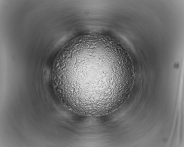 X0000091010123200708162006