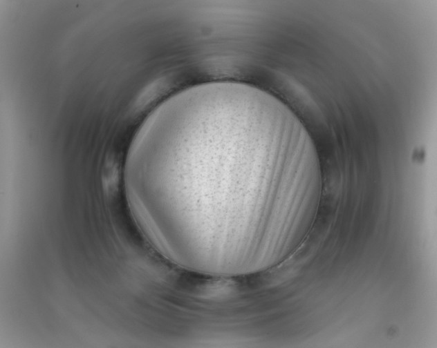 X0000091010124200708162006