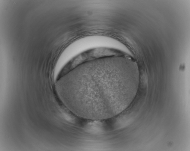 X0000091010125200708162006