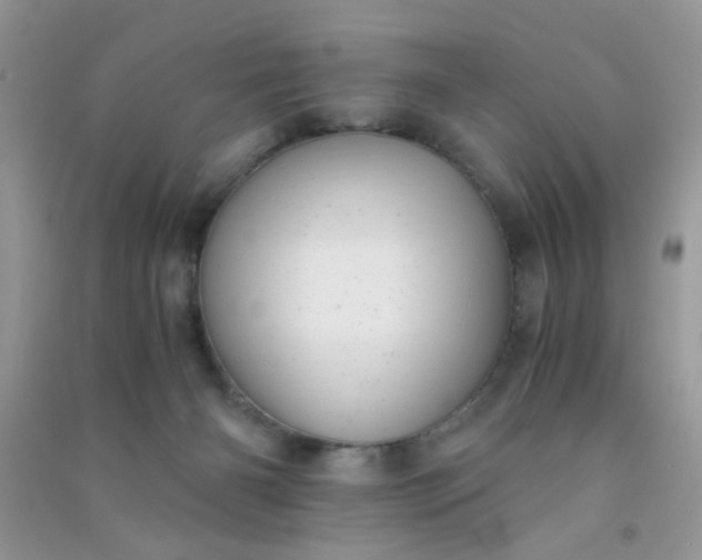 X0000091010126200708162006