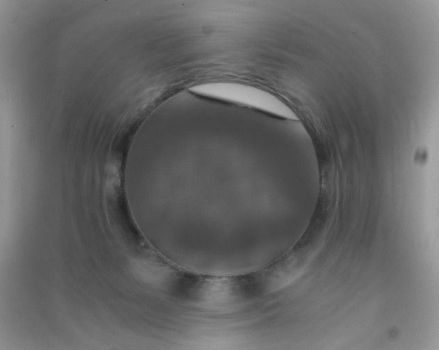 X0000091010127200708162006