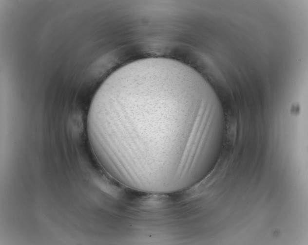 X0000091010128200708162006