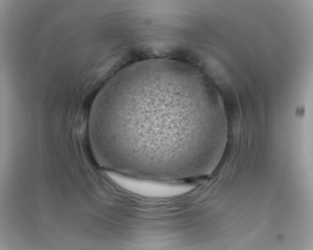 X0000091010129200708162006