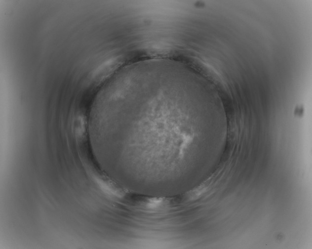 X0000091010130200708162006