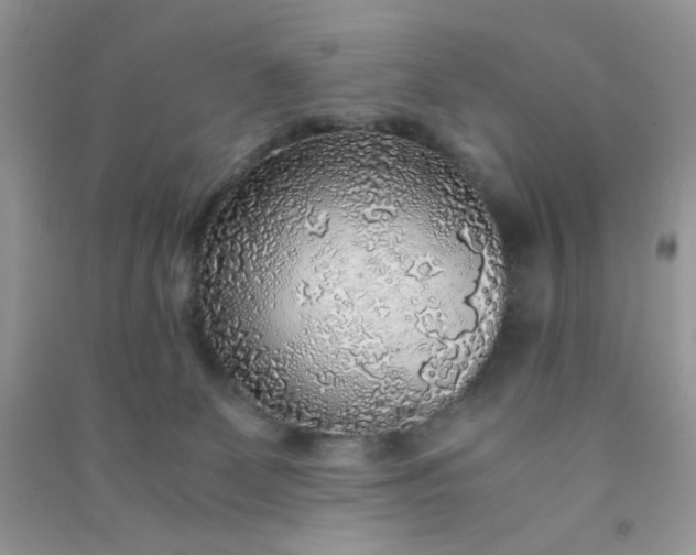 X0000091010131200708162006