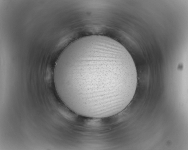 X0000091010132200708162006