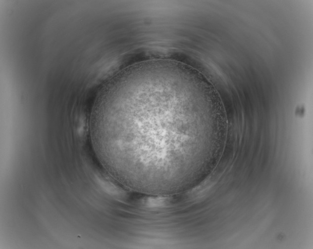 X0000091010134200708162006