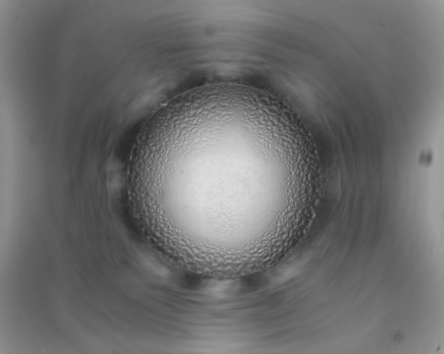 X0000091010135200708162006