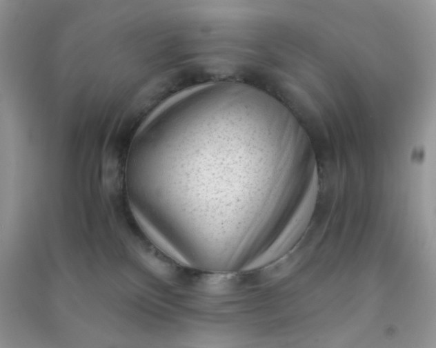 X0000091010136200708162006