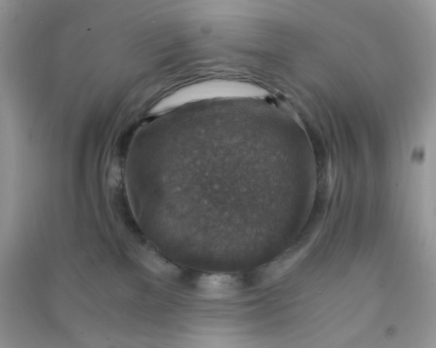 X0000091010137200708162006