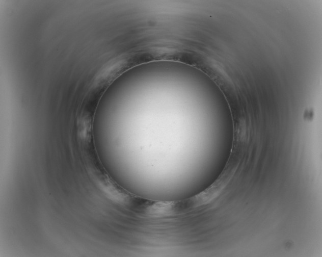 X0000091010138200708162006