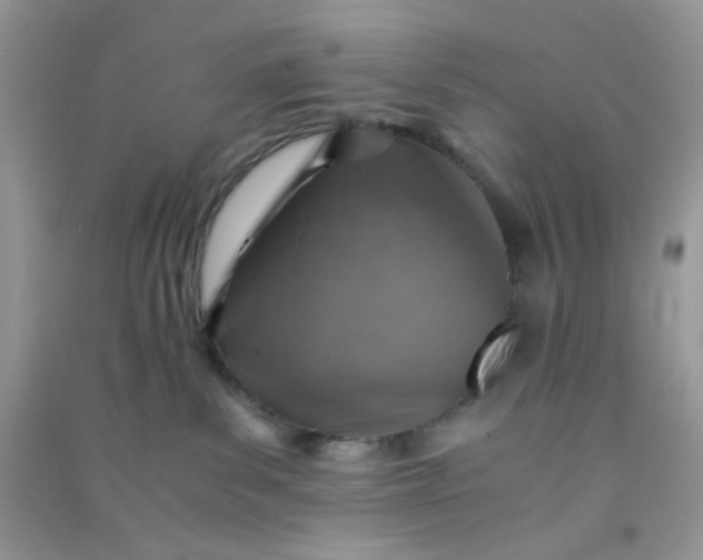 X0000091010139200708162006