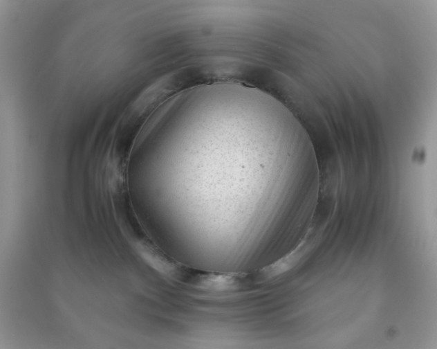 X0000091010140200708162006