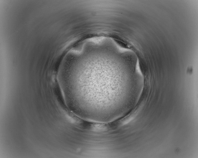 X0000091010141200708162006