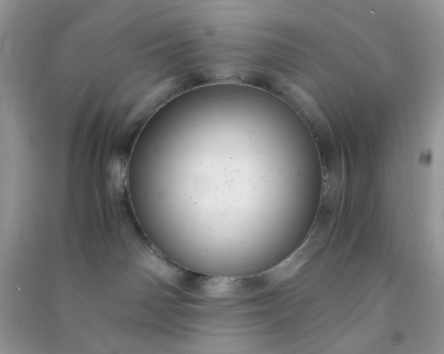 X0000091010142200708162006