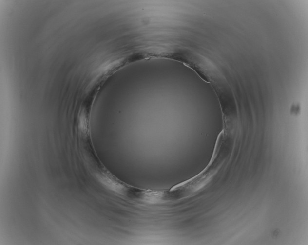 X0000091010143200708162006