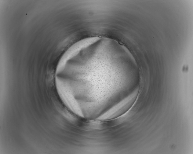 X0000091010144200708162006