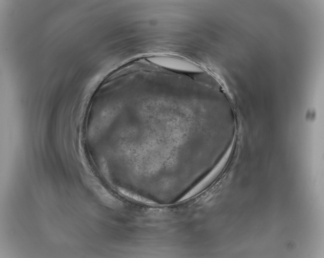 X0000091010145200708162005